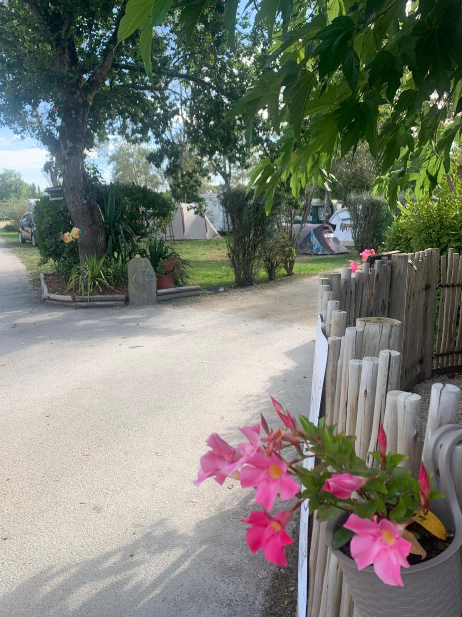 Camping Paradis Le Moulin Des Oies Belz Eksteriør bilde
